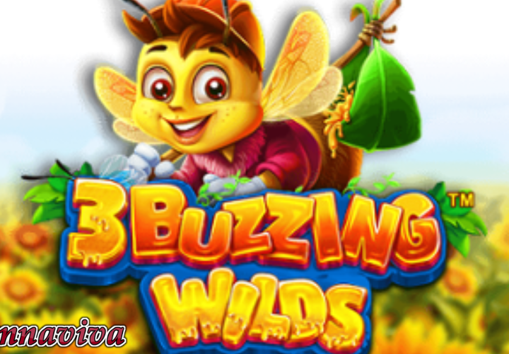 3 buzzing wilds