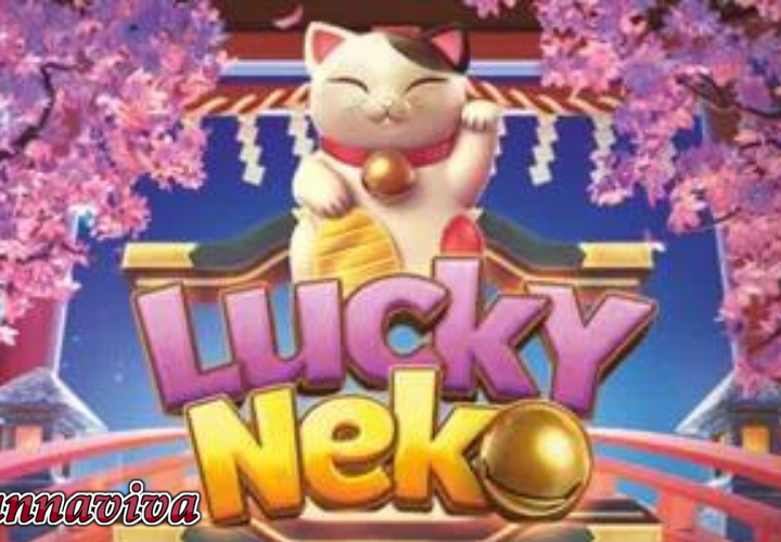 lucky neko